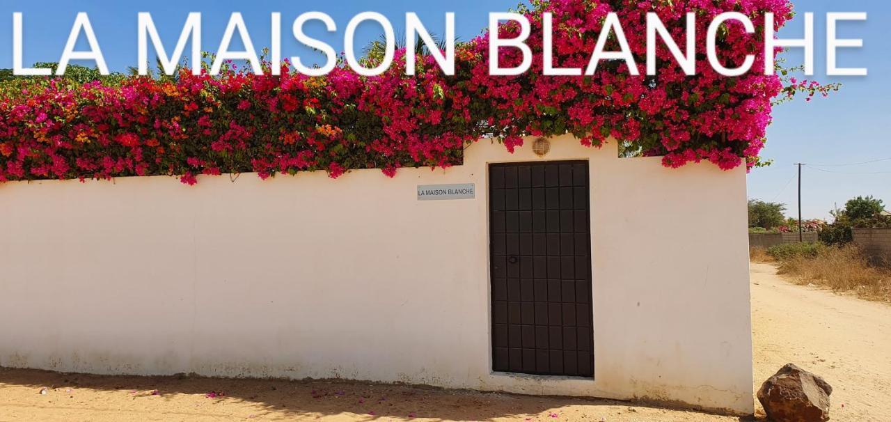 La Maison Blanche A Ngaparou, Splendide Villa Contemporaine Eksteriør billede